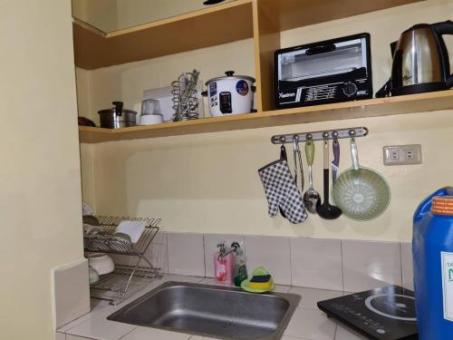 Pet Friendly Staycation in