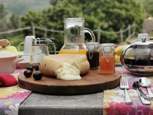 Casa De Campo De Torneiros