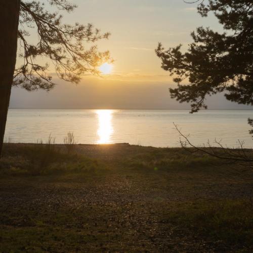 STF Vandrarhem Stora Frögården
