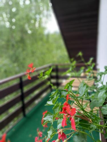 The Riverside Chill Hostel
