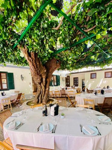 Antica Locanda Al Gelso