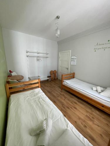 Green Cat Rooms