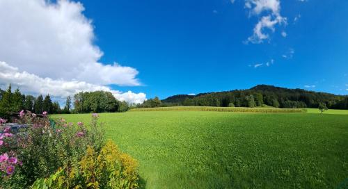 Landgasthof Seeblick