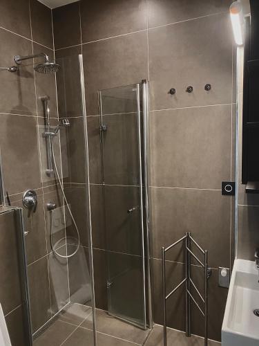 Studio apartment in center Brno