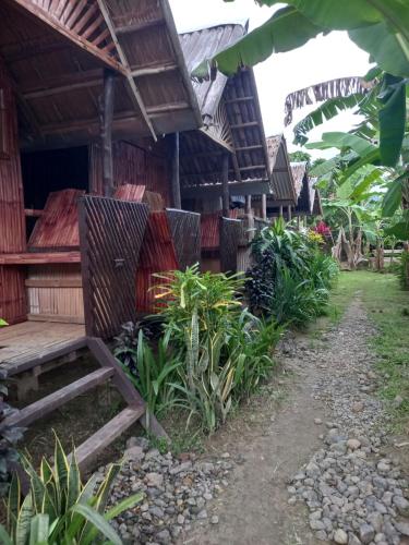 Banana Grove Backpackers Inn