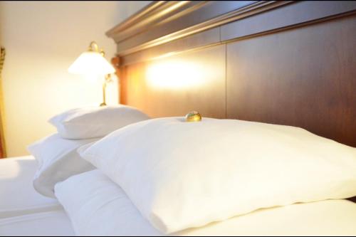 Radisson Blu Hotel Altstadt Salzburg