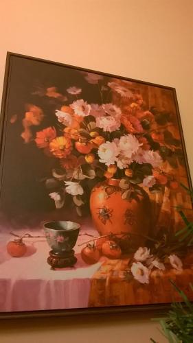 Camera Tip Economic Mozart