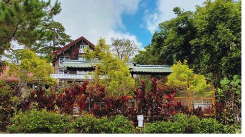 Safari Lodge Baguio by Log Cabin Hotel
