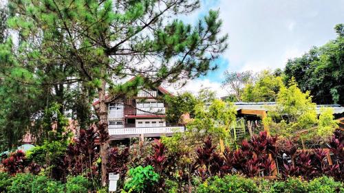 Safari Lodge Baguio by Log Cabin Hotel