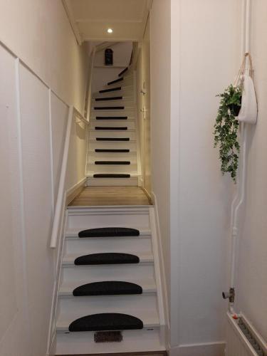 De Kleyne Sint Jacob