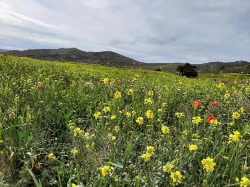Apartamento carboneras y disfruta del LUJO del Parque Natural Cabo de Gata Nijar