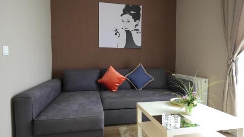 Alan Suites