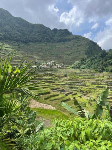 Rita's Mount View Inn and Restaurant