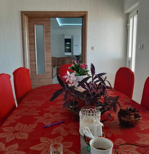 Apartment Matej