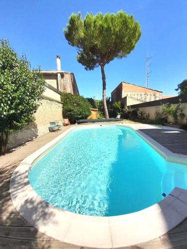 La Pause Sous Le Pin