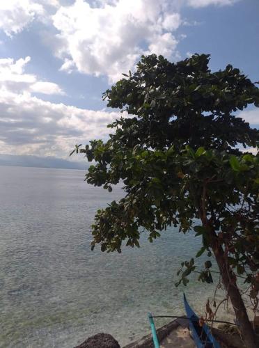 Pescador View Beach Resort Restaurant