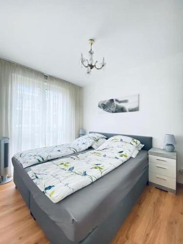 CityCosy ORANGERIE Strasbourg Appartement 2 pièces en face de parc de L'Orangerie avec un parking souterrain, Netflix compris