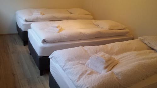 Harbour Inn Guesthouse