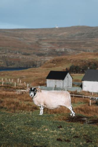 Aurora Rural Retreats