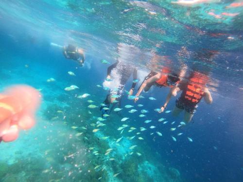 Check out this beautiful 5 bed villa with pool!