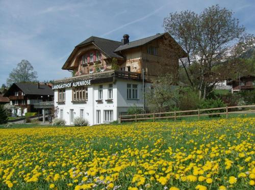 Hotel Alpenrose Beim Ballenberg