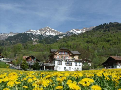Hotel Alpenrose Beim Ballenberg