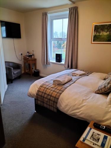 The Avenue Inn