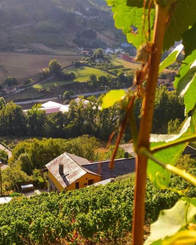 La Cabana'l Cachican