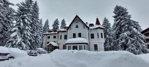 Villa Ibar Apartments