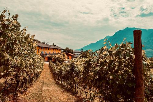 Agritur Mas dei Chini