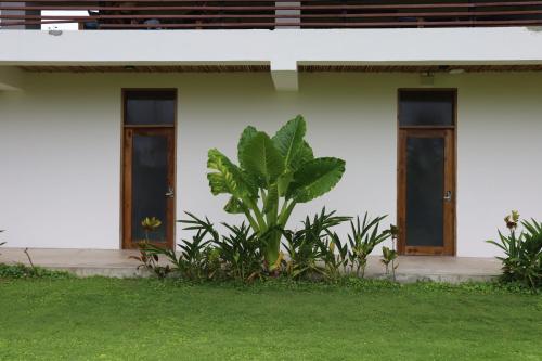 Lafinca Hostel Siargao