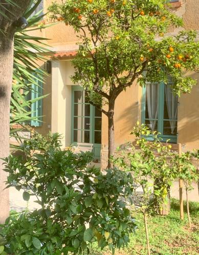 La Villa Des Amandiers