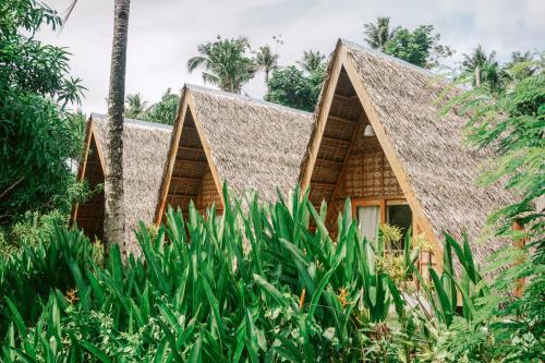 Triangle Palms Siargao