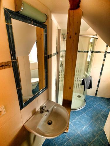 Hotel Pod Kokšínem