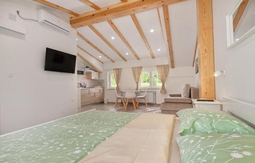 Studio apartments Kaya