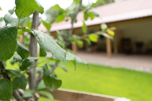 Apartmány Uprostřed zeleně