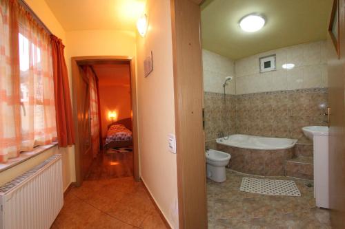 Pension Casa Timar