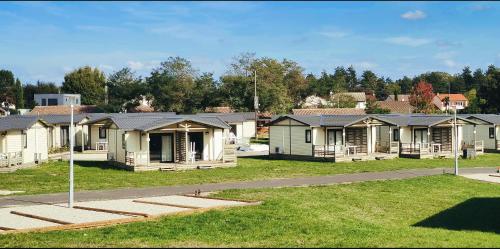 Les Voiles Du Grand Large