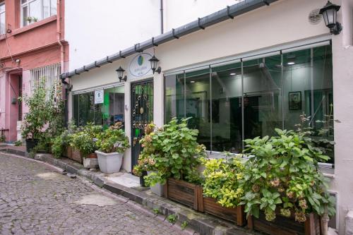 Blau Grün Istanbul Otel