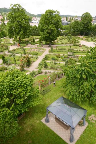 Le Jardin Des Roses