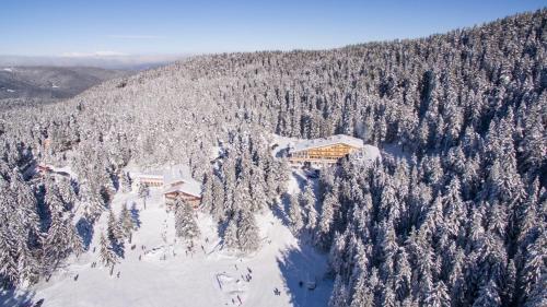 Hotel Alpinist
