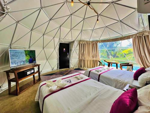 Shanti Wellness Sanctuary