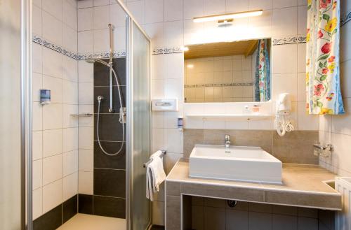 Hotel-Gasthof zum Schwanen