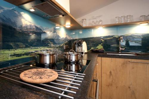 Alm-Appartement-Zell am See