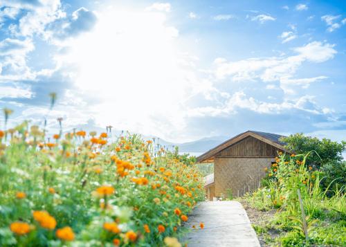 Ocean Green Eco-Lodge