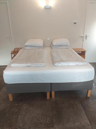 Thorbecke Canal View