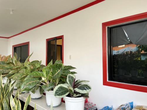 Lara's Guesthouse Siargao