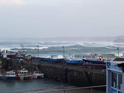 The Harbour - Guest House