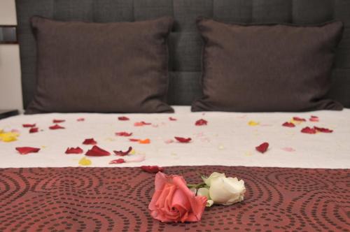 Hotel Miramar Sul