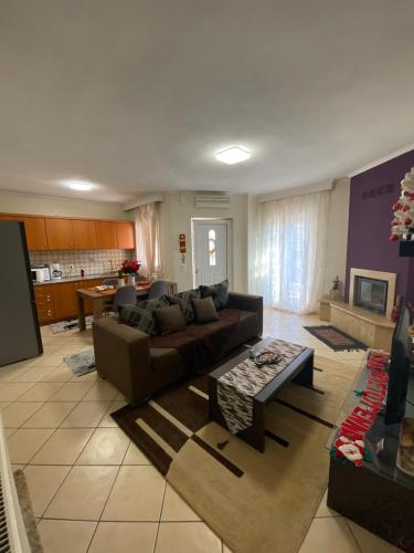 Bakopoulos resort.Ενα όμορφο διαμέρισμα με τζάκι